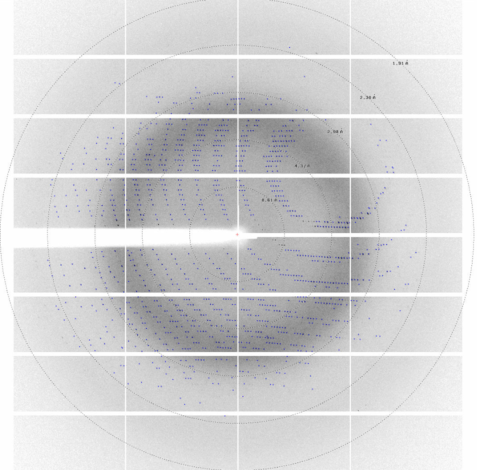 characterization of selected enzymes