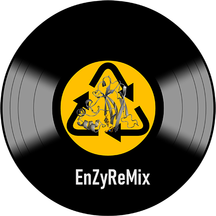 EnZyReMix logo